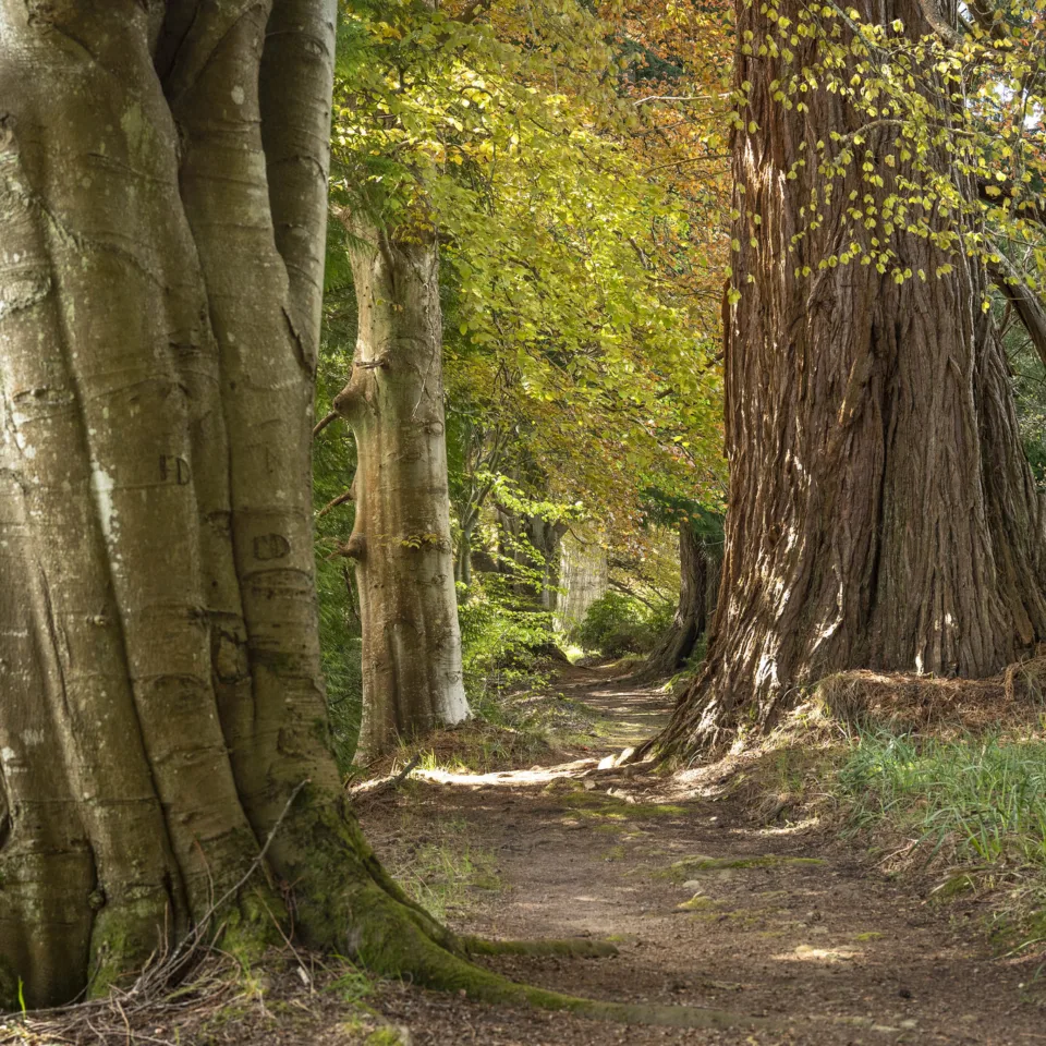 GTW25 Landscape Graham Niven