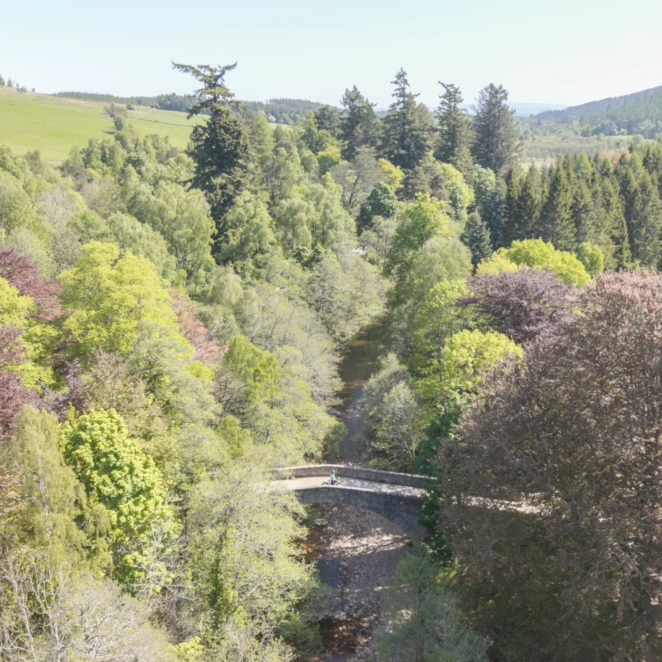 GTW25 Garden Cottage