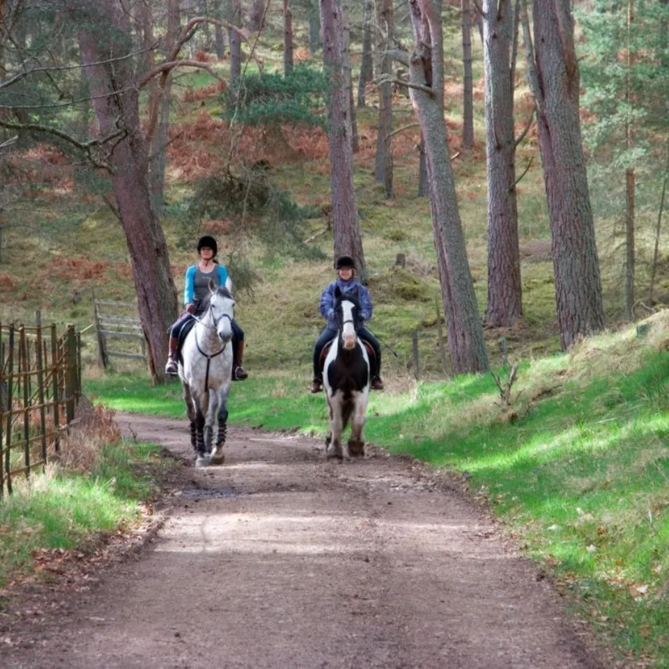 Horseback riding at Glen Tanar