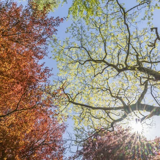 GTW Explore Graham Niven