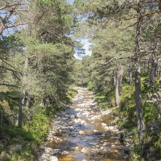 54610871985 6fcdb21077 c