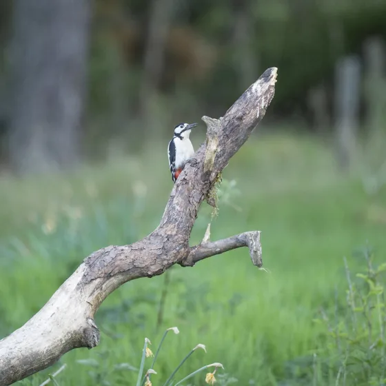 54611119140 8fd9e5ae37 c