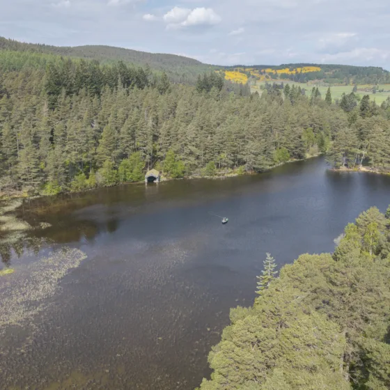 GTW25 Trout Fishing Loch with Trees Aerial Shot