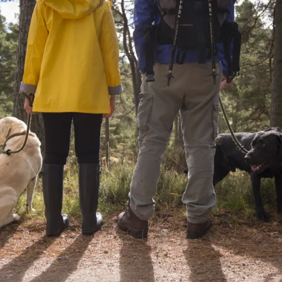 GTW25 Best destination for hiking in Scotland