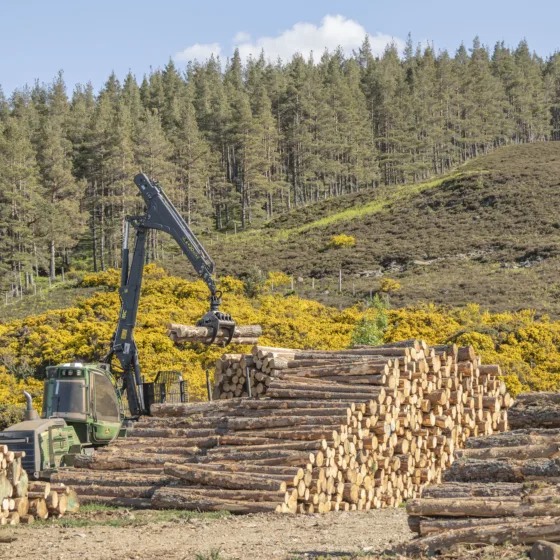 GTW25 Glen Tanar Aerial Forestry Log Lifting
