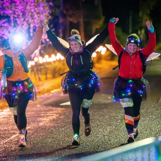 Illuminator2024 FINAL 331 midres