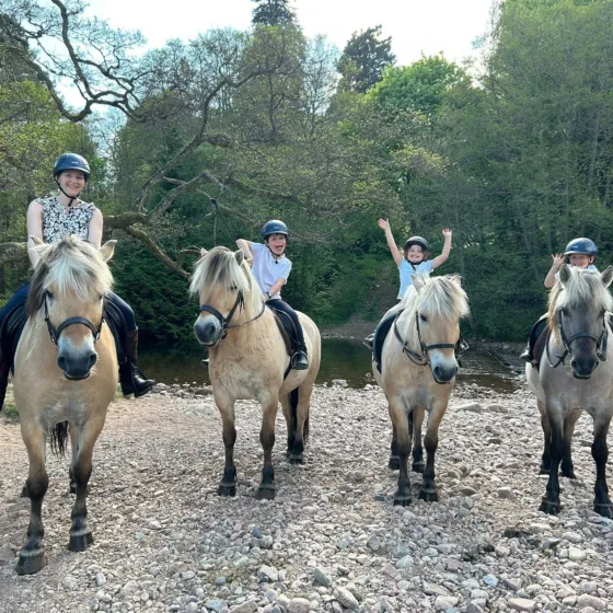 54987895169 d720b7f7f9 k