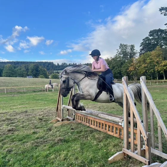 54987640446 6ddc37bde9 b