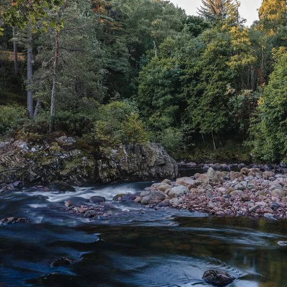Nature reserve 54920109072 f9a0133ba2 c