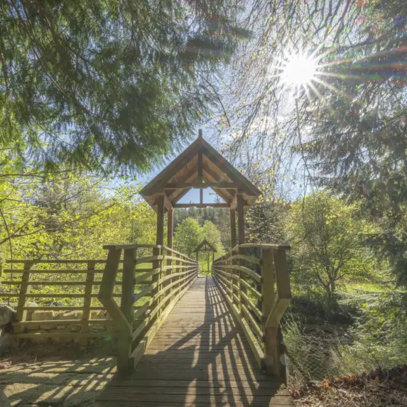 GTW25 Glen Tanar Bridge