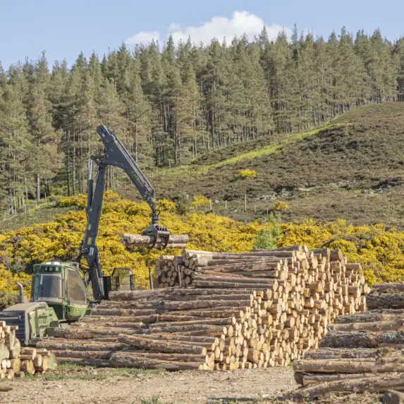 GTW25 Glen Tanar Aerial Forestry Log Lifting