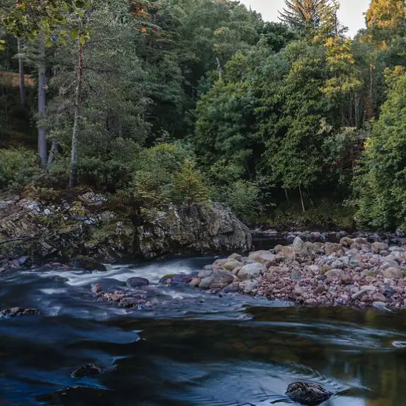 Nature reserve 54920109072 f9a0133ba2 c