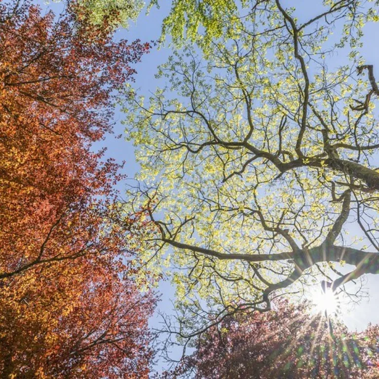 GTW Explore Graham Niven