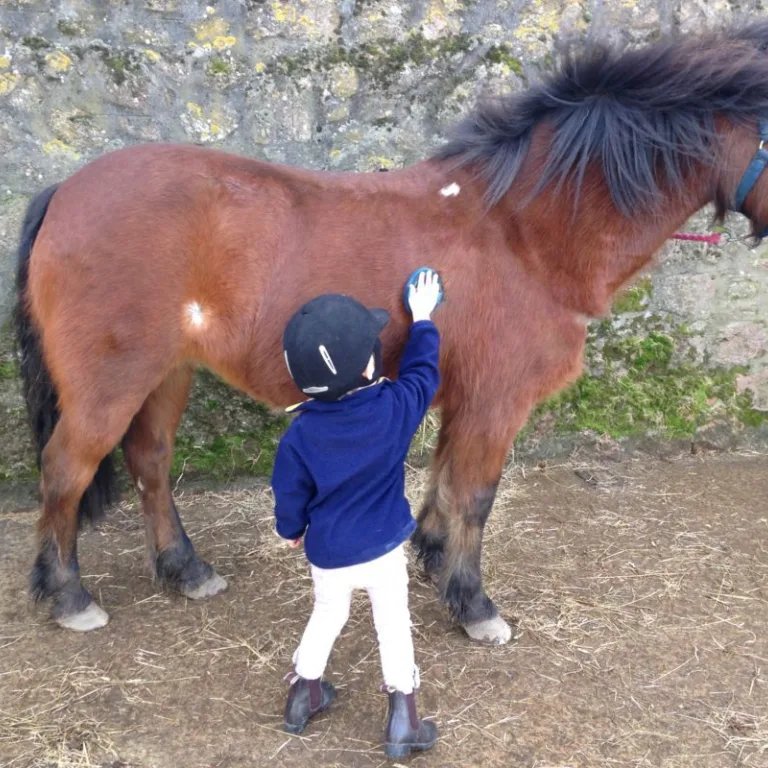 GTW25 glen tanar equestrian centre