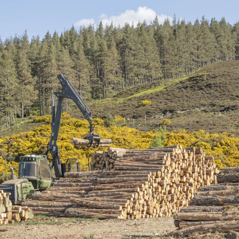 GTW25 Glen Tanar Aerial Forestry Log Lifting