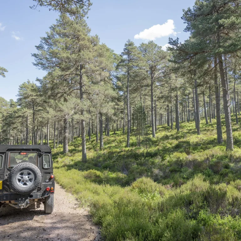 GTW25 Glen Tanar Sustaimable Glen Tanar