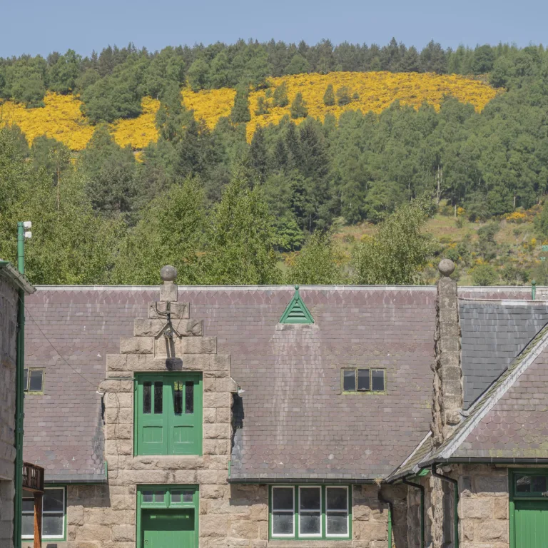 GTW2 Sustainable Working Estate Built Heritage