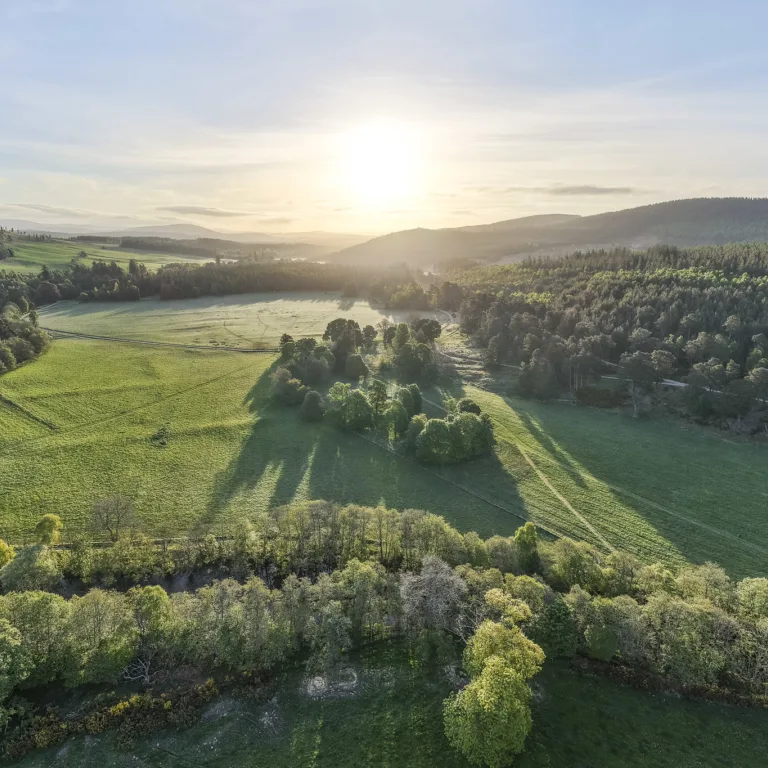 GTW2 Sustainable Working Estate