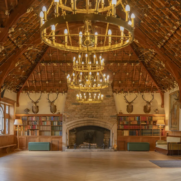 54609702672 876d50bec6 k