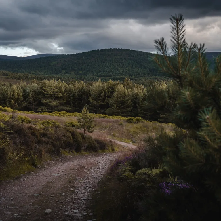 54920104502 bee7e1b7bb k