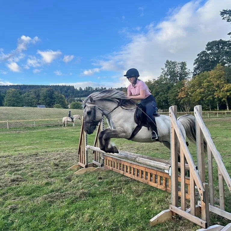 54987640446 6ddc37bde9 b