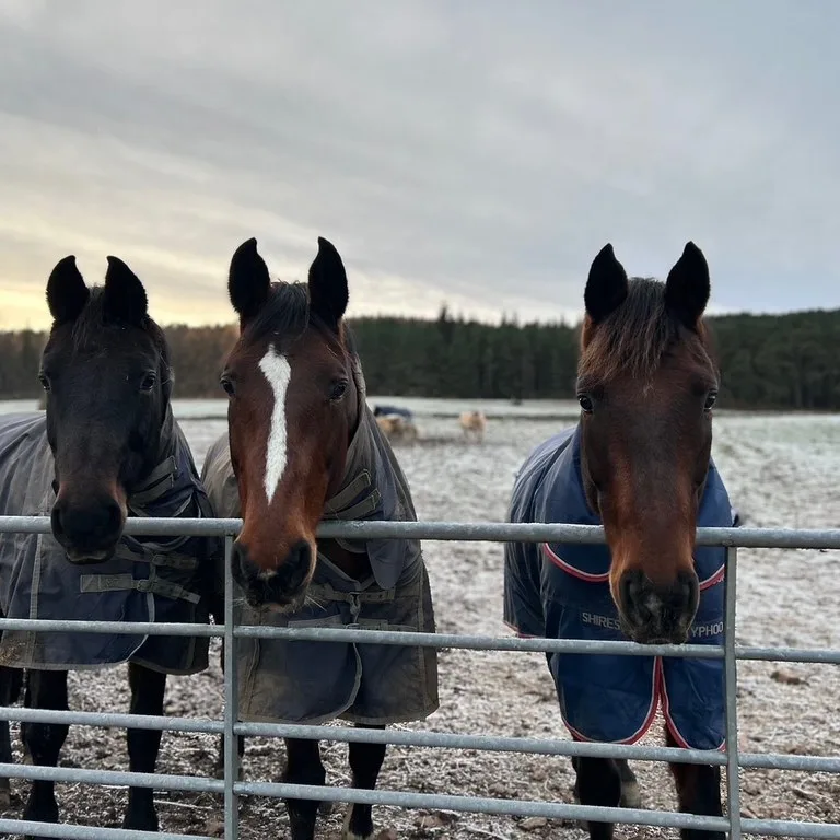 54987925265 9c33bbb848 b