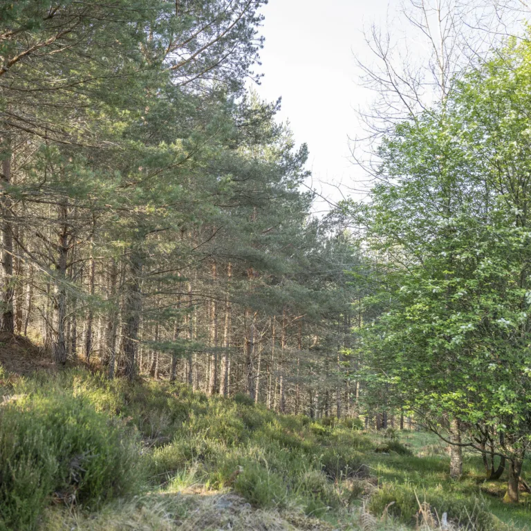 54610779918 1c8ac587a6 k