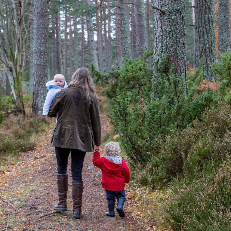 54921548593 f7ed31163f k