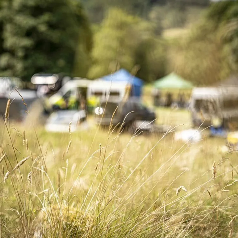 54760962013 72877767b5 c