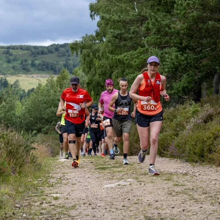 54760736931 76332281a7 c