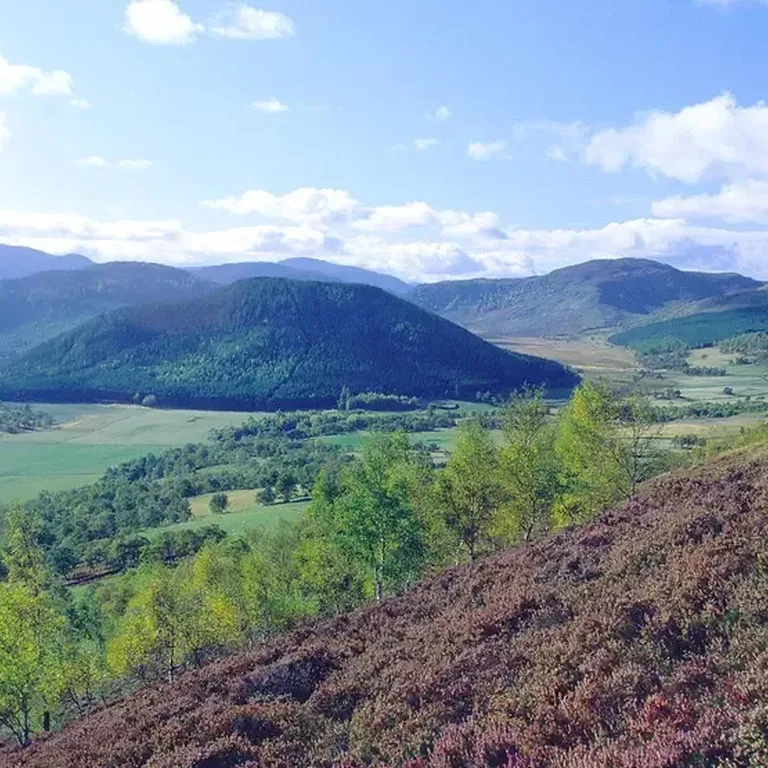 GTW25 Travel Trade Upper Deeside Scotland 9abdd5ab7edf02cb85f13ac8495cf010